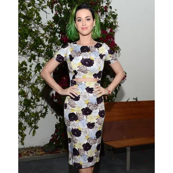 Suno Stretch Silk Floral Cut Out Sheath Dress Multicolor XS Party Cocktail - Picture 12 of 12